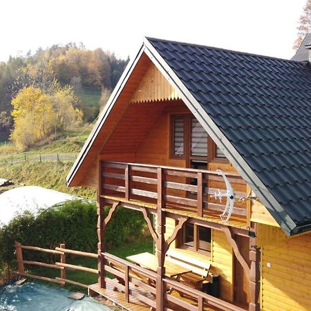 Domek Dzikusowka 1 Bieszczady Solina Polanczyk Zawoz Cisna Gorzanka Exteriör bild